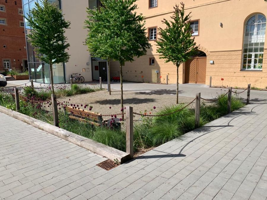 Innenhof mit neuen Baumpflanzungen